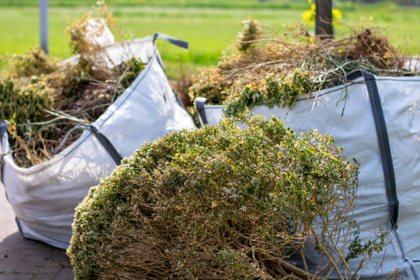 Best Construction Debris Removal  in Mcallen, TX